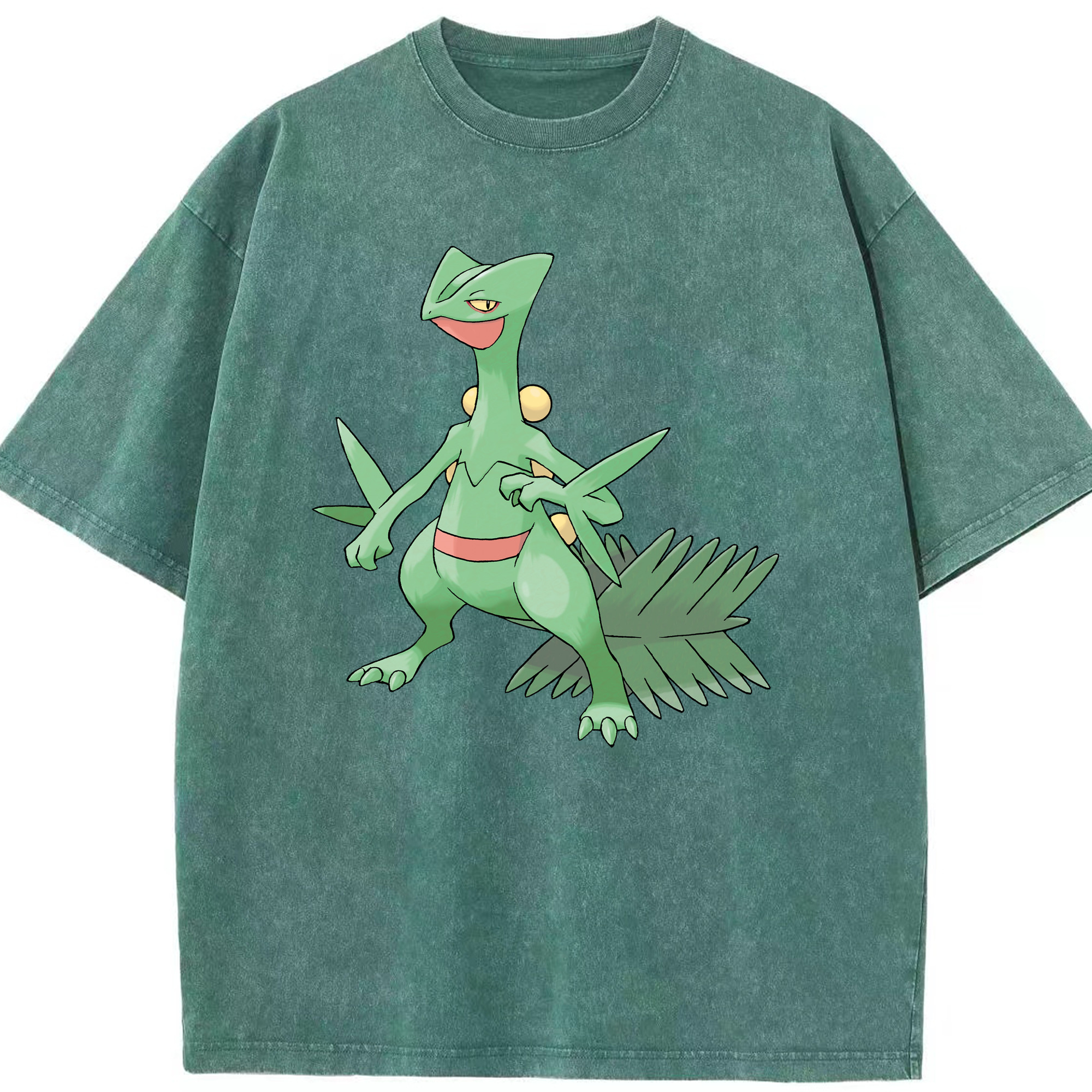 （画像用） ポケットモンスター Pokémon 綿100% ヴィンテージ風 半袖Tシャツ（フロントプリント）
